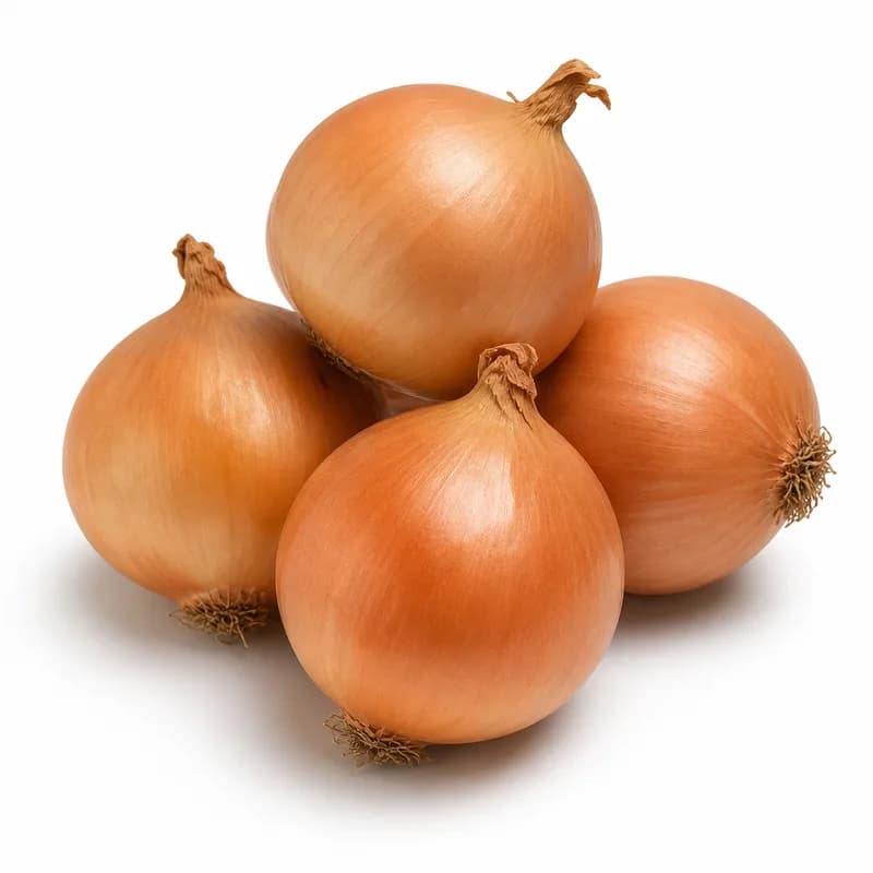 Cebolla