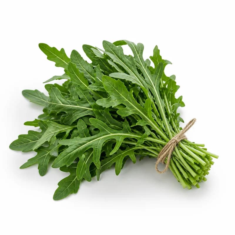 Rúcula